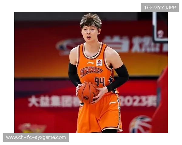 CBA王哲林篮下强硬度提升明显：引领新时代内线风暴