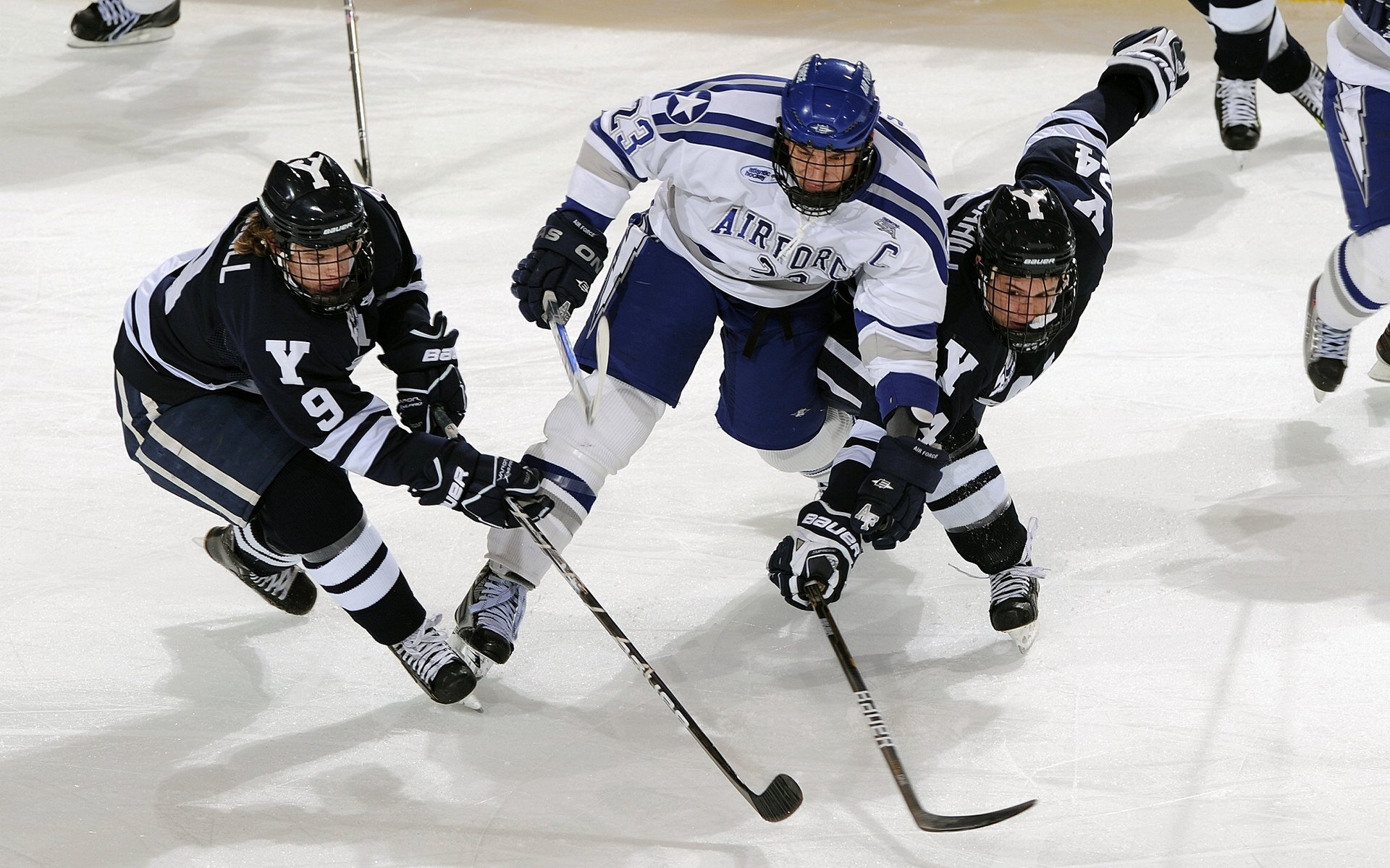 NBA最疯狂暴扣，nba最暴力